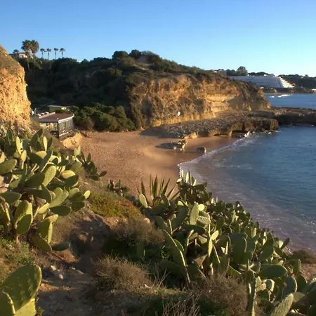 Διαμέρισμα 5-minute Walk To Aveiros *