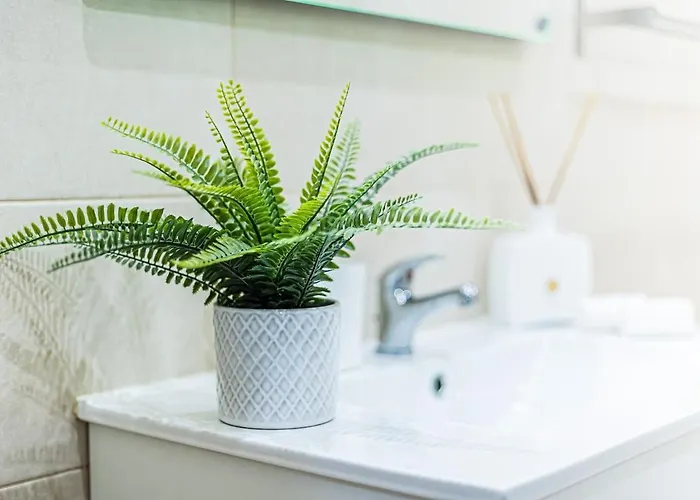 5-minute Walk To Aveiros * אלבופיירה